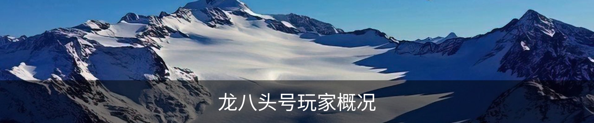 龙八头号玩家概况